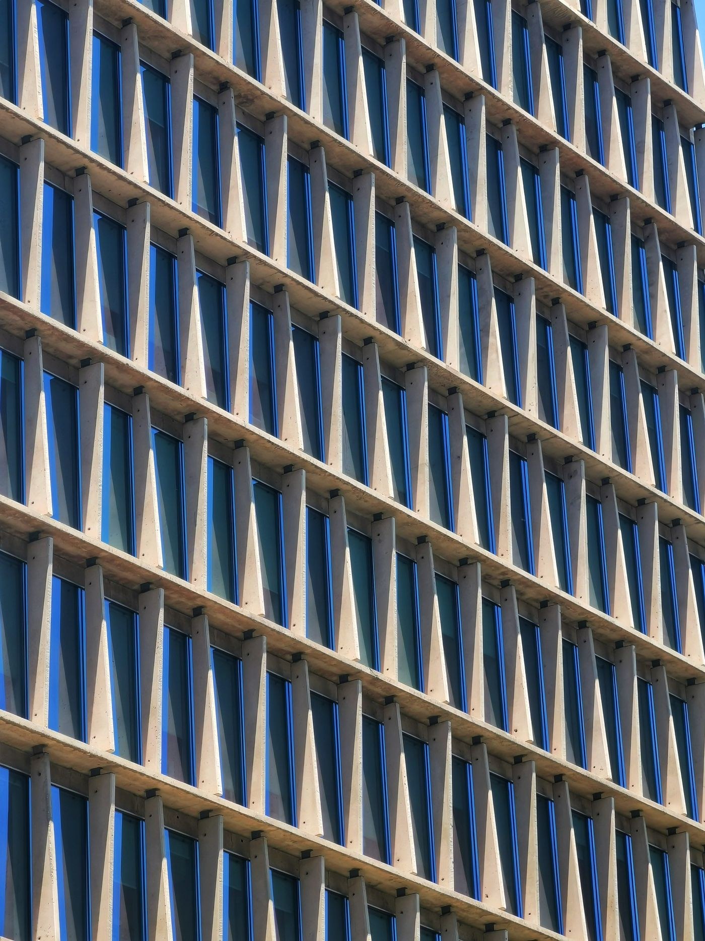 Repeating windows across a modern building facade