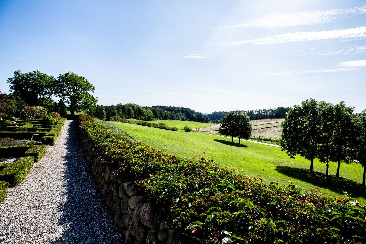 Garden path bordered by hedges and open lawn
