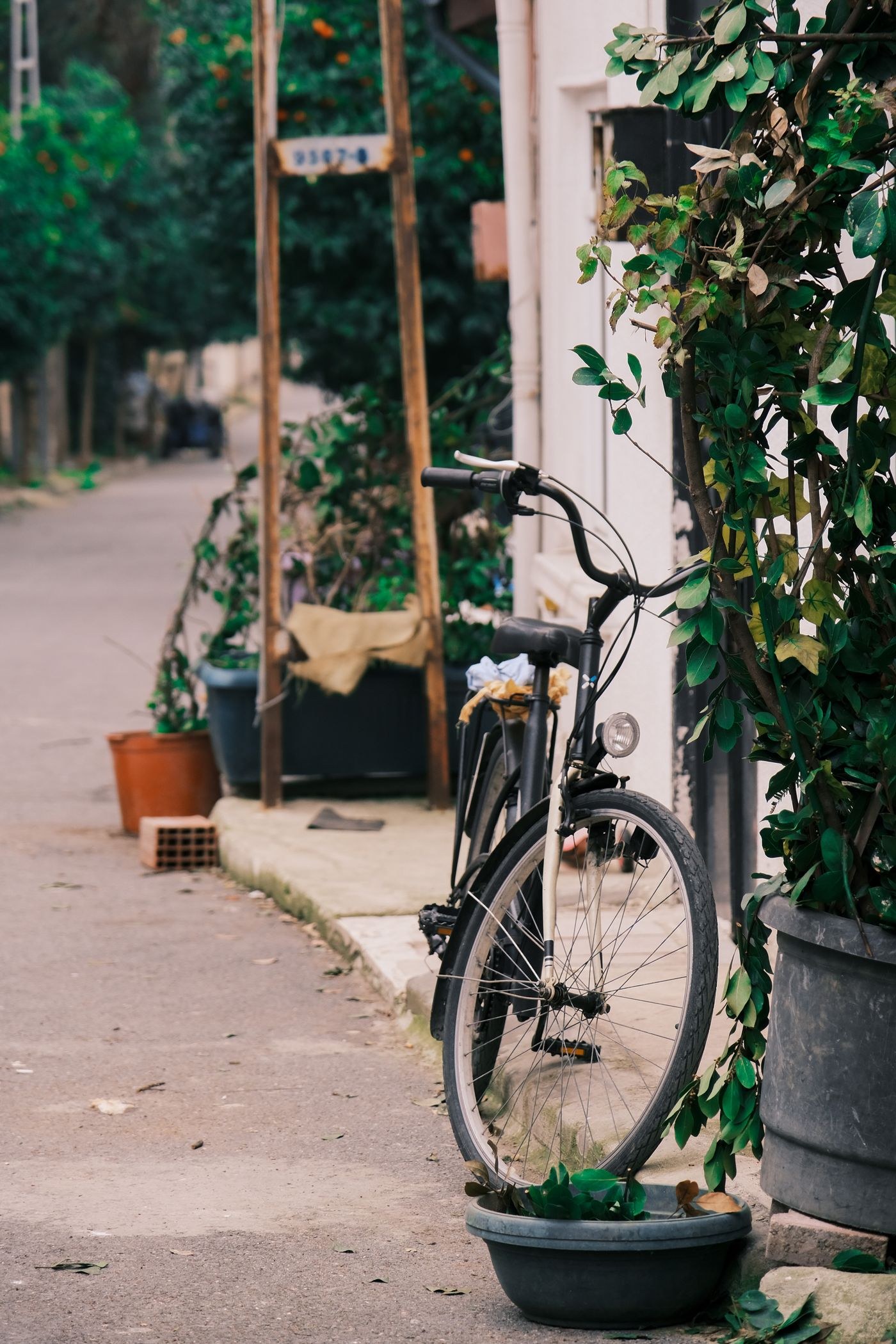 Bicycle leaning beside a plant-lined street
