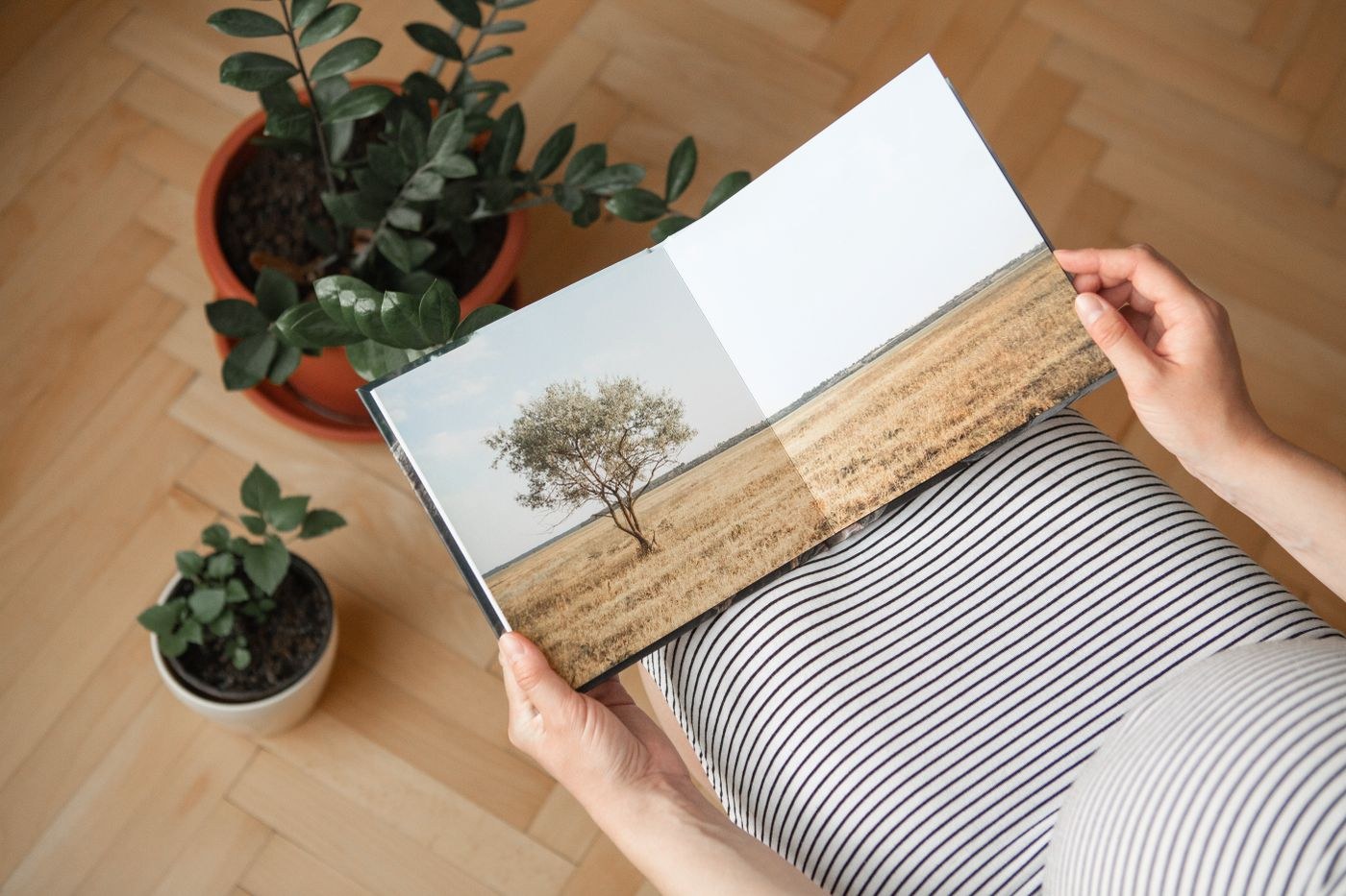 Hands holding an open landscape photo book